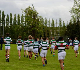 开云体育app-公牛队迎来历史性胜利,士气爆棚,公牛 队