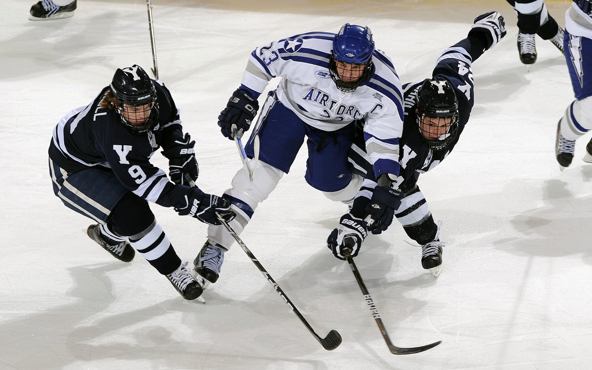 中小学篮球对抗赛落幕冠军队表现出色备受高校关注,2020小学篮球比赛